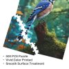 1235c8465f33b4ccd4b0981566fdc980 A Beautiful Blue Bird
