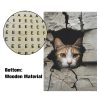 Cat In A Wall