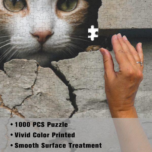 Cat In A Wall