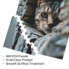 b69323d0c7dee0b1706d84378010db4f Cat In The Wall