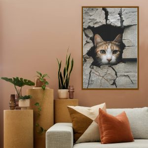 b70c621f2c02f6a0866062e5c154929e Cat In A Wall