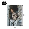 d7a13c6cc9c15c2c3f466cfb264225fa Cat In The Wall
