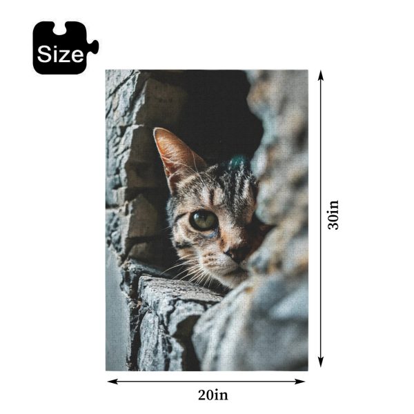 d7a13c6cc9c15c2c3f466cfb264225fa Cat In The Wall