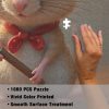 27d2d0647e22d4e2e2302827ecc4593c Chef Mouse Kitchen