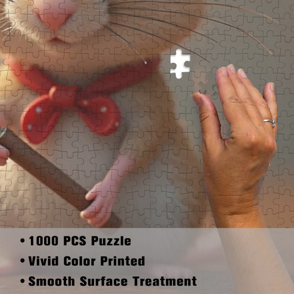 27d2d0647e22d4e2e2302827ecc4593c Chef Mouse Kitchen