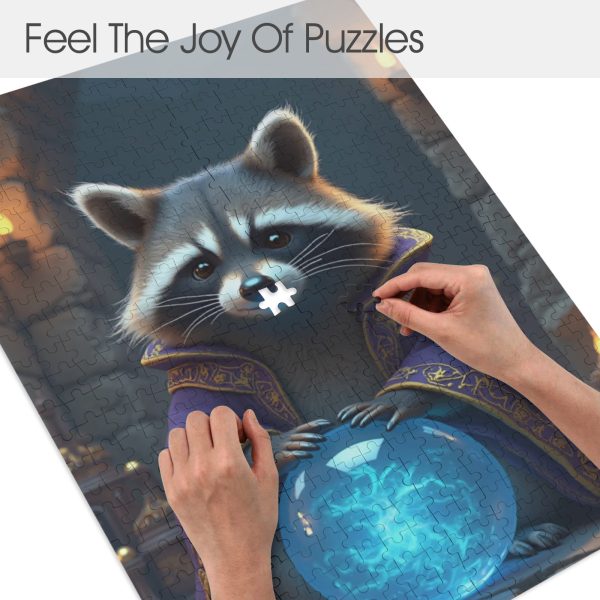Wizard Raccoon