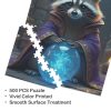 Wizard Raccoon