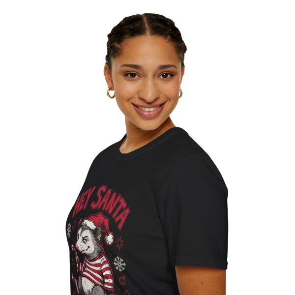 13318764160826426165_2048.jpeg Hey Santa Badger Christmas T‑Shirt — Naughty But Cute Holiday Tee