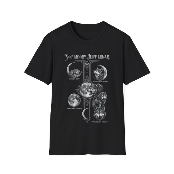 Not Moody, Just Lunar T-Shirt — Cat & Moon Phases Graphic Tee