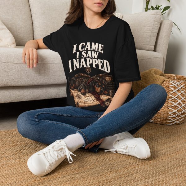 17900517341073790181_2048-1.jpeg I Came I Saw I Napped T-Shirt — Funny Sleeping Dog Pirate Graphic Tee